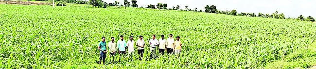 కృత్రిమ కొరత సృష్టించొద్దు