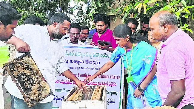 తేనెటీగల పెంపకంతో ఆర్థిక వృద్ధి