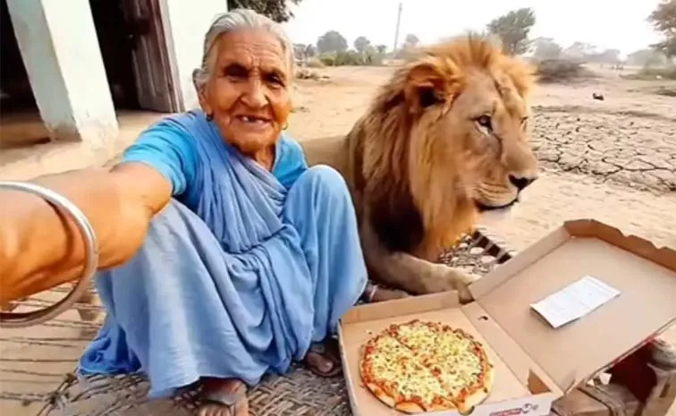 AI generated video of a vlogger grandma sharing a pizza with a pet lion4