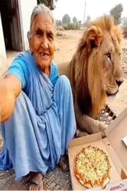 AI generated video of a vlogger grandma sharing a pizza with a pet lion4