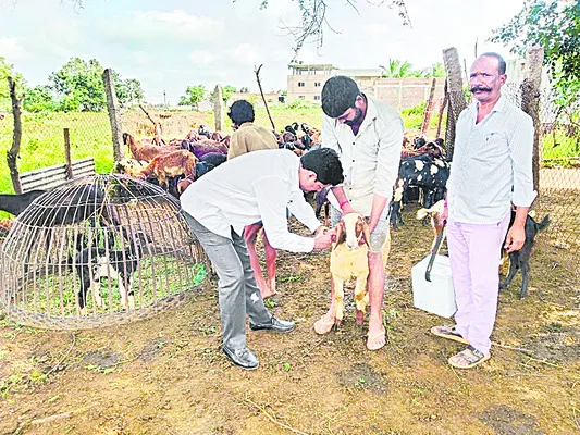 మందుల్లేవ్‌!
