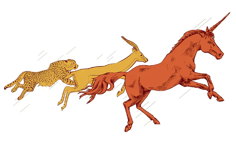 Startups worth Rs 8700 crore are unicorns
