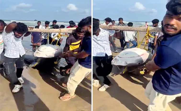 500 Kg Fish Caught Fishermen At Anakapalle