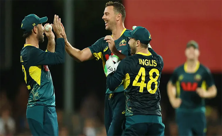 Tim David Stars As Australia Beat South Africa By 17 Runs