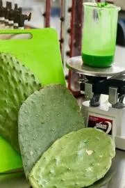 How to make biodegradable plastic from cactus juice5