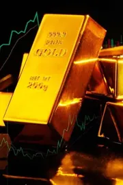 Check The Reasons For Gold Hits Record High6