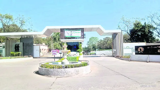 సింగరేణి ‘ఫారెస్టు’ అక్రమాల డొల్ల..