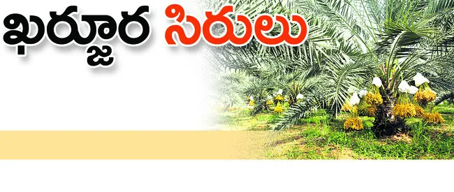 ఎడారి