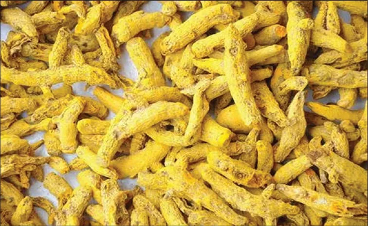 turmeric has been extensively studied for its medicinal properties