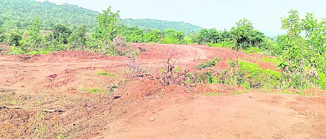 చెట్లను నరికి.. చదును చేసి