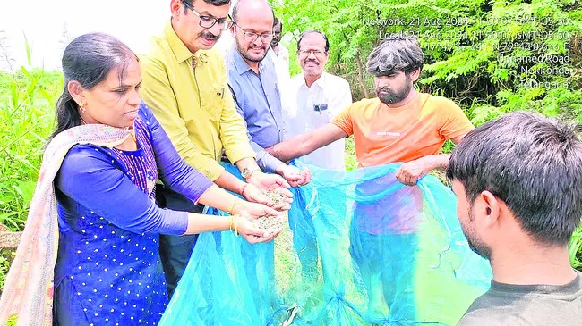 నీలినీడ లు