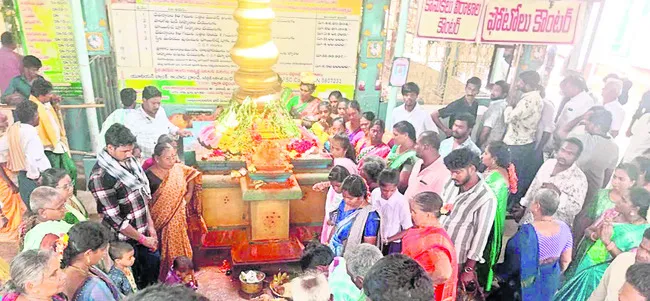 గుబ్బ