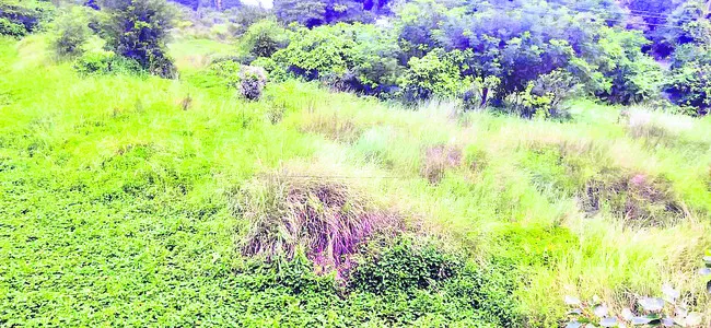 ధర లే