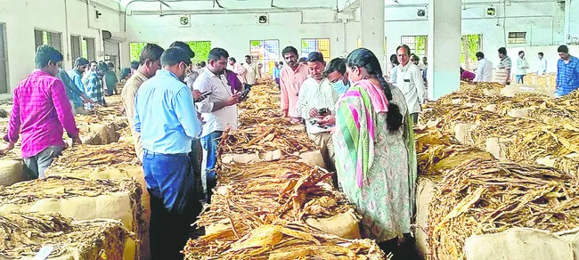ఎగసిప