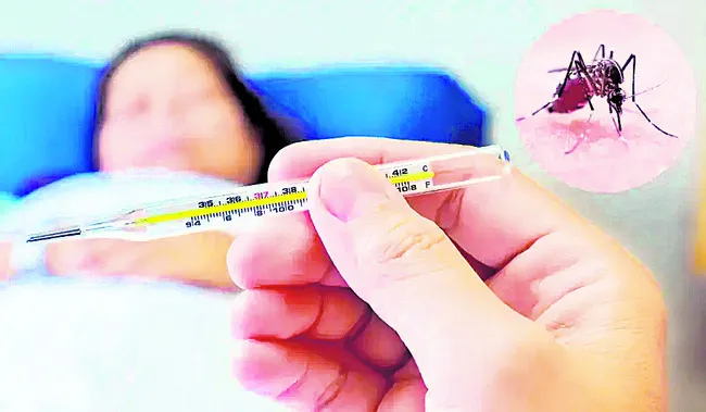 డెంగీ