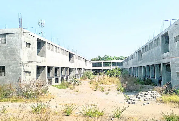 తేలని