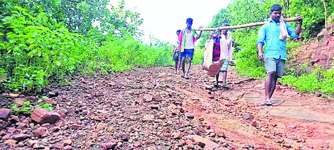 ● తప్పని డోలీ కష్టాలు..! 