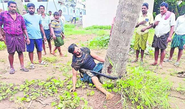 చెట్ట