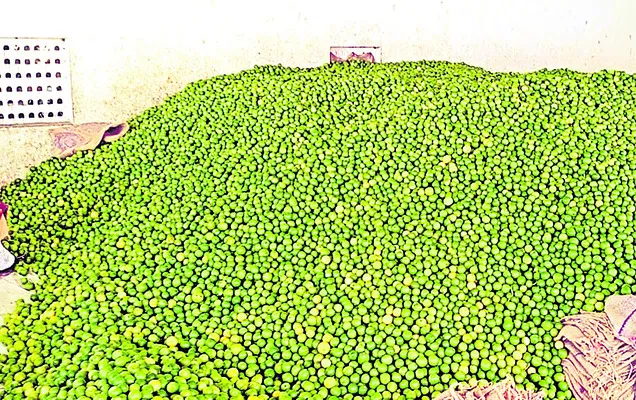 నిమ్మ