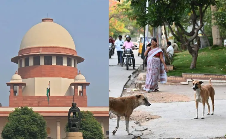 Supreme Court Big Order on Delhi NCR Stray Dogs Details Here