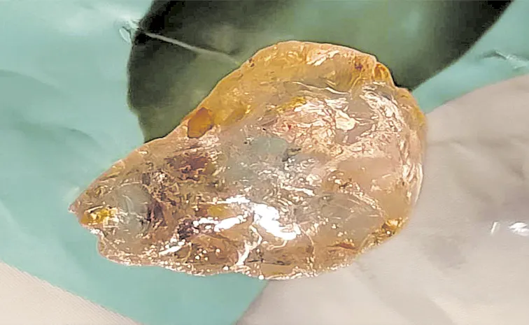 52-carat diamond was found in NTR district was buzz in WhatsApp groups
