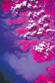 Nasa astronaut shares picture of mighty Ganga river delta area3