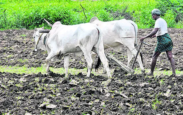 రైతుకు ధీ(బీ)మా
