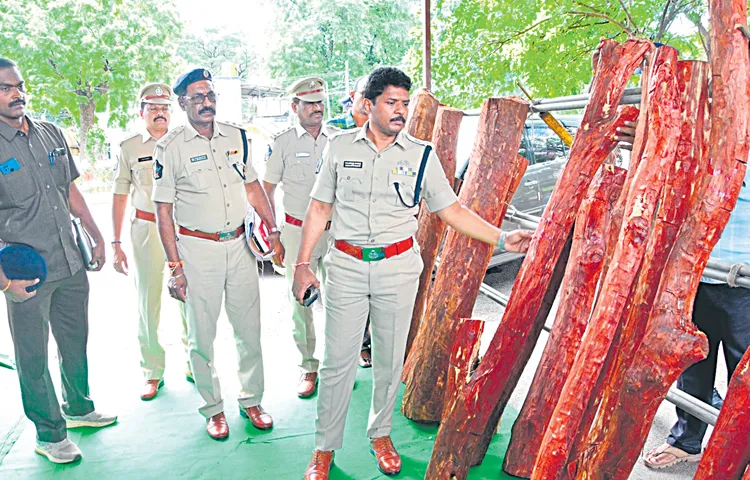 Six red sandalwood smugglers arrested