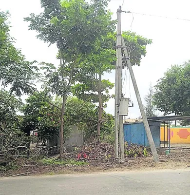 తిమ్మ