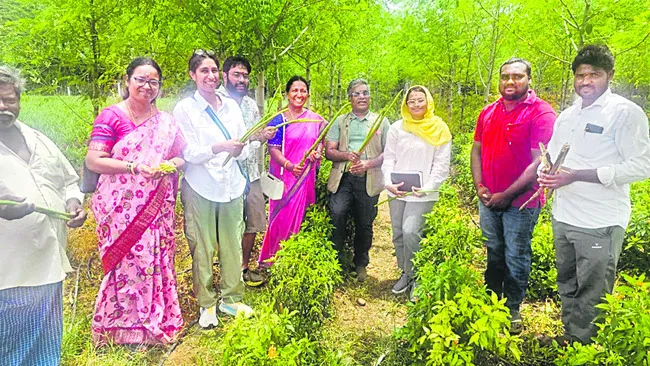 ప్రకృతి సేద్యం ప్రపంచానికి ఆదర్శం