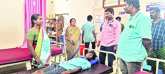 విద్యార్థికి పాముకాటు 