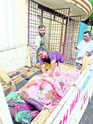 దూసుక