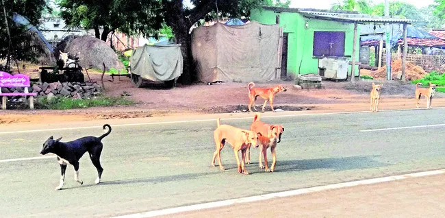 మన కు