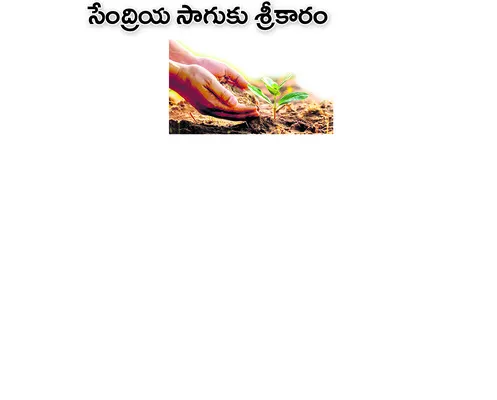 వరంగల