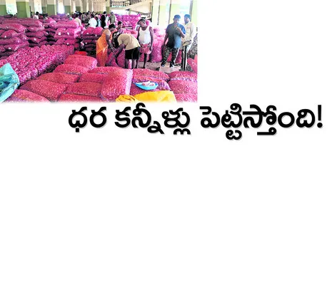 ఉల్లి రైతు దిగాలు