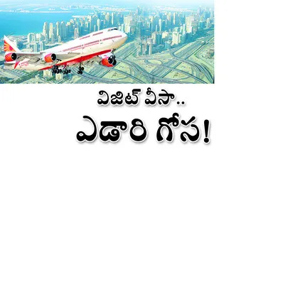 ● గల్