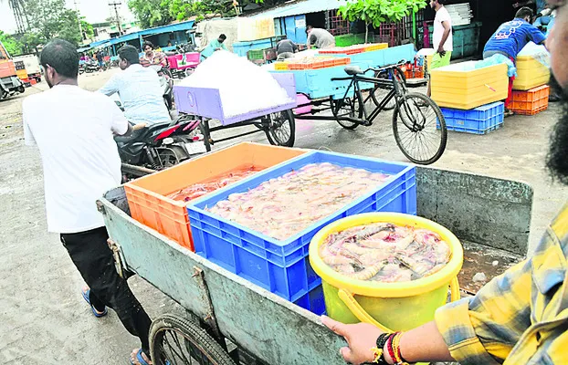 సుంకాల ఉచ్చులో రొయ్య