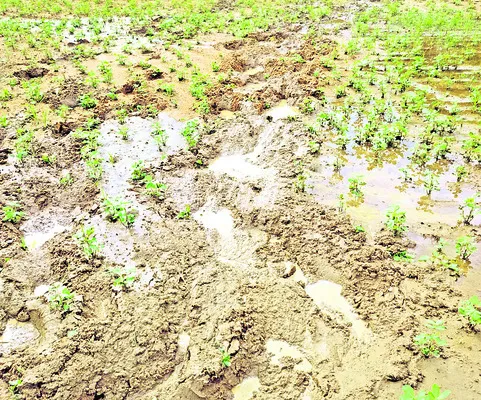 అనుమానాస్పద స్థితిలో యువకుడి మృతి 
