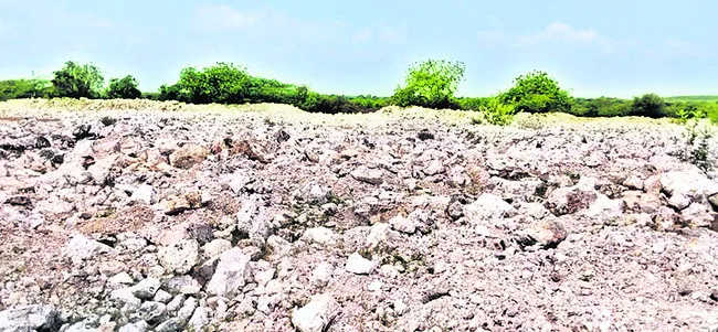 ఒక్క రాత్రిలోనే.. 