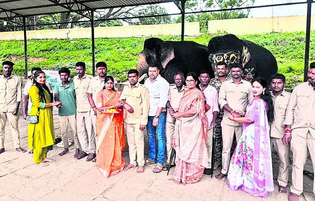 బిడ్డ మృతిని జీర్ణించుకోలేక తల్లి ఆత్మహత్యాయత్నం