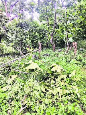 ప్రభుత్వ భూమి ఆక్రమణకు యత్నం