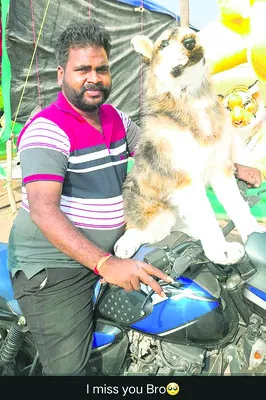 అమానుషం!