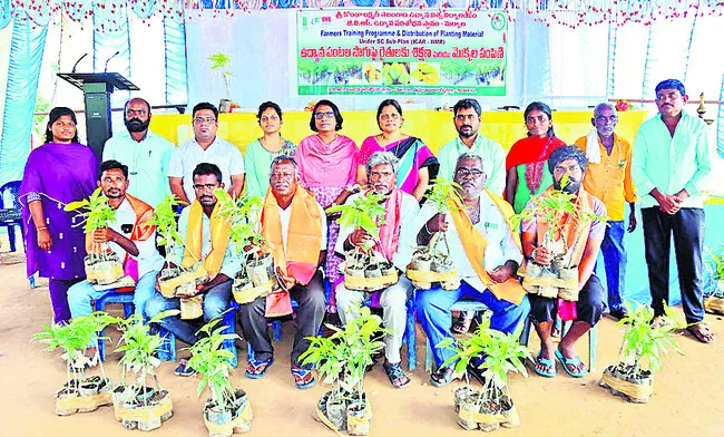 ఉద్యాన పంటల ఆవశ్యకతను గుర్తించాలి