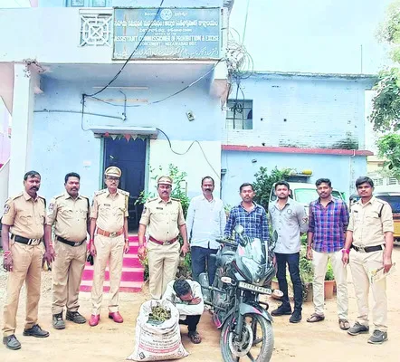 6.5 కిలోల గంజాయి స్వాధీనం
