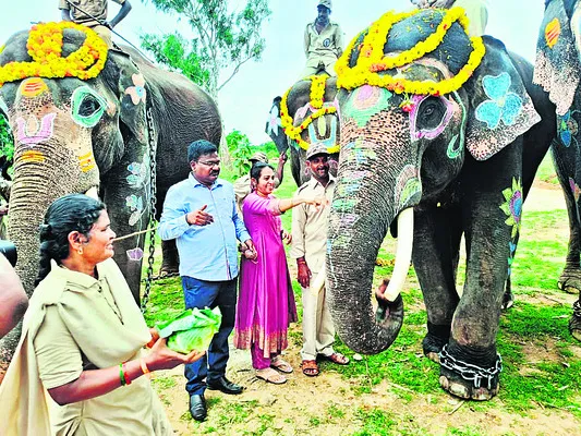 గజరాజులను కాపాడుకుందాం