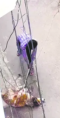 కుక్కను కొట్టిన వారిపై ఫిర్యాదు