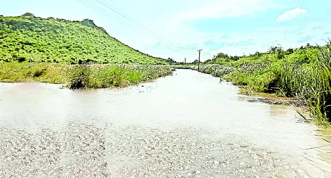 ఎద్దువాగు 