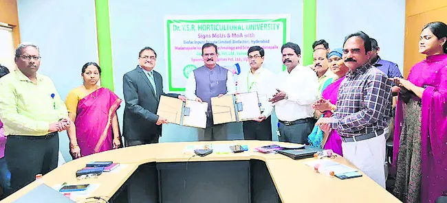 ఉద్యాన వర్సిటీ ఎంఓయూలు