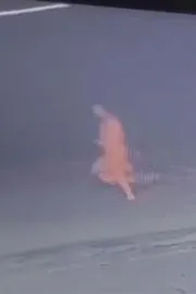 Bike Born Men Chased Special Disable Woman And Later Happend This12