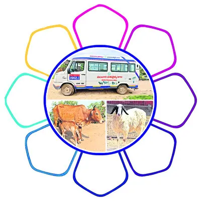 1962 Ambulance, Cow, Sheep